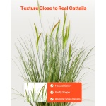 DPKXPLWCLS35CCHPH001V0 gallery 1