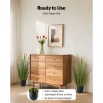 DPKXPLWCLS35CCHPH001V0 gallery 4