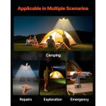 DSJJZYD6AH22LUXPP001V9 gallery 4