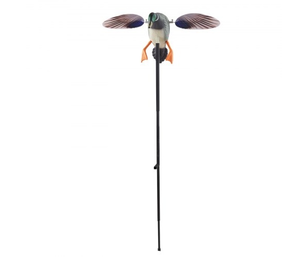 DTSLYESY1J00LHRTZ001V9