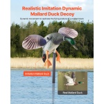 DTSLYESY1J00LHRTZ001V9 gallery 0