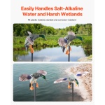 DTSLYESY1J00LHRTZ001V9 gallery 4