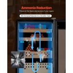 DXQBSJYSJZL68XO9O001V2 gallery 3