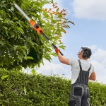 GZDDLLJ20V20NAT0FV2 gallery 6 2