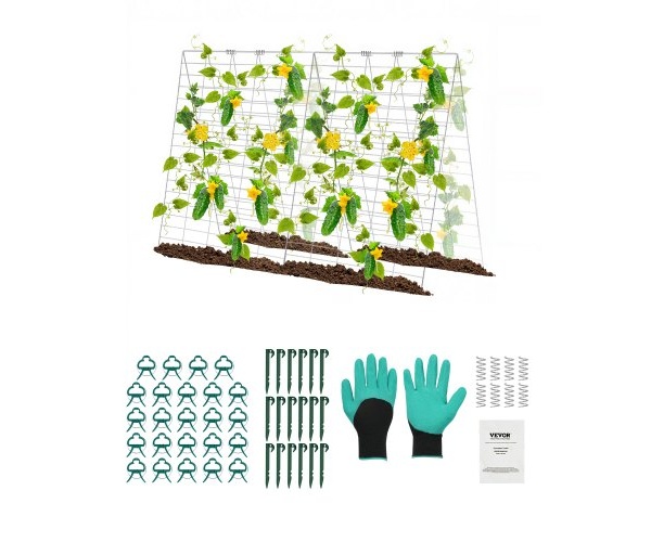 HGPJTXCZAXJ3JGFLUV0 1