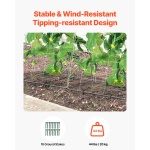 HGPJTXCZAXJ3JGFLUV0 gallery 1