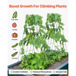 HGPJTXCZAXJ3JSUXXV0 gallery 2