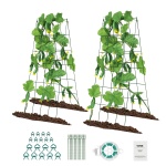 HGPJTXCZAXJ3JSUXXV0 gallery 7