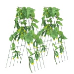 HGPJTXCZAXJ3JSUXXV0 gallery 8