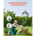 HPJHX2JTH60WT4XPAV0 gallery 4 1