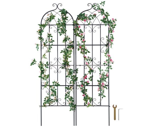 HPJHX2JTH71WKVLCJV0 1