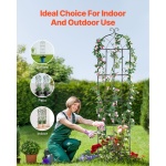 HPJHX2JTH87W13N5YV0 gallery 4