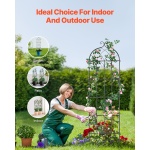 HPJHX4JTH71WYJPT6V0 gallery 4