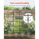 HPJHX4JTH87W88ZO1V0 gallery 1