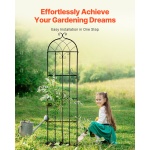 HPJHX4JTH87W88ZO1V0 gallery 4