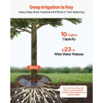 HSJSD10GAL4JUT9Z3V0 gallery 1