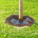 HSJSD10GAL4JUT9Z3V0 gallery 6