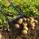 HYCWJCGC5C1J0LGD6001V0 gallery 6