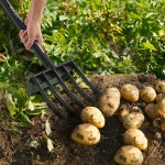 HYCWJCGC5C1JS1RA7001V0 gallery 6