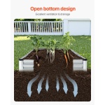 JSFXZZCZFXDXNWRELV0 gallery 4