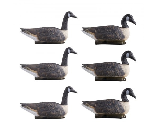 JTSLYEJNDE6JQC5BY001V0