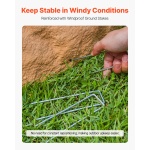 KXYSZBGZTYXZ9H2TC001V0 gallery 3