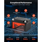 LSTLMTCDLDC1XBVRE001V9 gallery 1