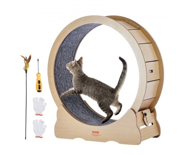 MZMPBJYMSMDBCOLWSV0 1