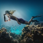 QSYQP05L2GYQ8X949V0 gallery 6 1