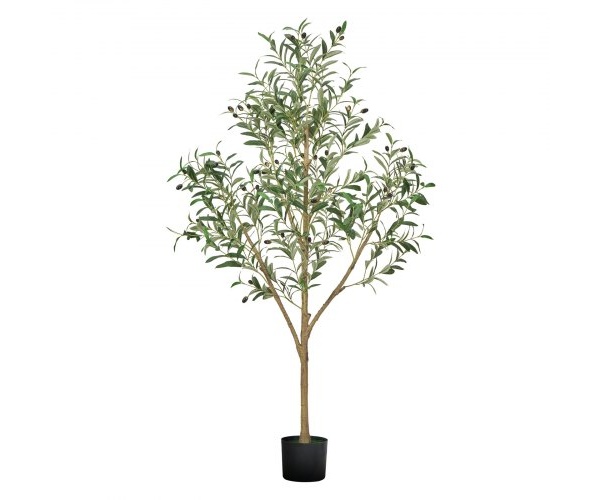 RZS5FTGLSSLX6A0M6001V0