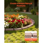 RZSPZXCCZS00MU8Y3V0 gallery 0 1