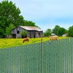 SBDYYSBTSBDYG4UFTV0 gallery 6