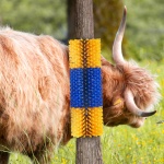 SCZNS2JDH000YZ09TV0 gallery 6