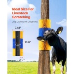 SCZNSZH4J000X26AYV0 gallery 0