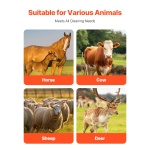 SCZNSZH6J000G9ASWV0 gallery 4 1