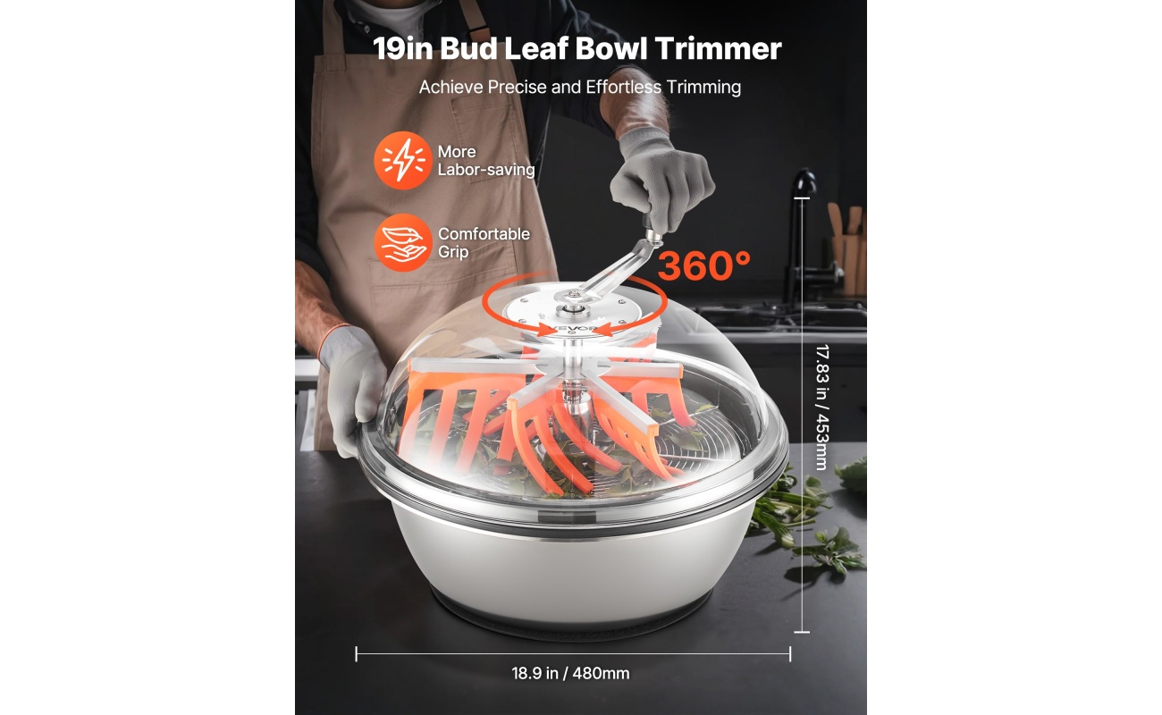 SDKSCJ19YCSDLYB2M001V0 gallery 0