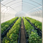 SLM10FT100FT1RB3QV0 gallery 6