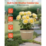 TSHPDHSL4J00YE3MV001V0 gallery 0