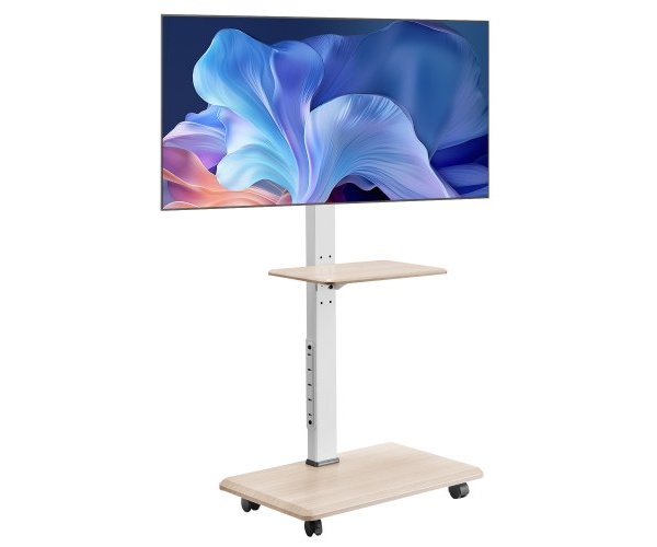 TYSDLDDSJZJD4JJJC001V2