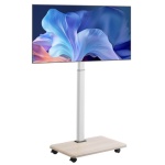 TYSDLDDSJZJDCSVJU001V0