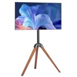 TYSDLDDSJZJZLU43E001V0