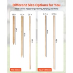 WLMZ051524INGP0HY001V0 gallery 3 2