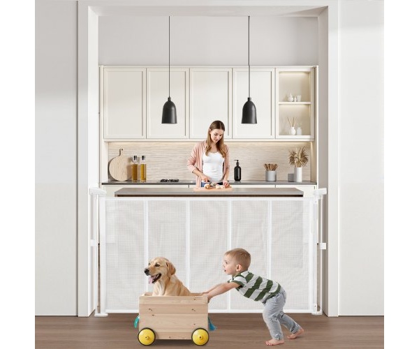 WZSSMBS55INCUZR48001V0