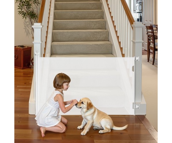 WZSSMBS71INCCJI8O001V0