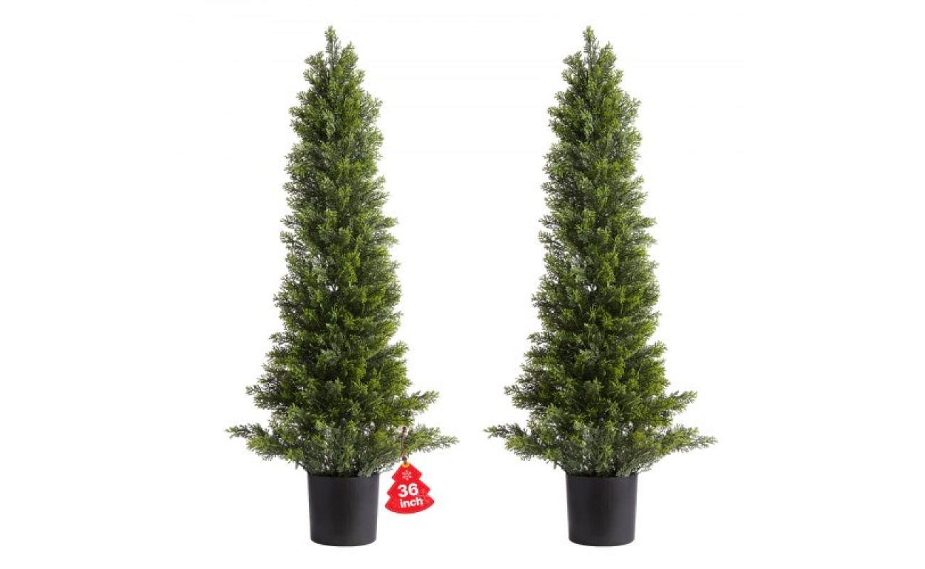 XSRGXJS36YCXDIEET001V0