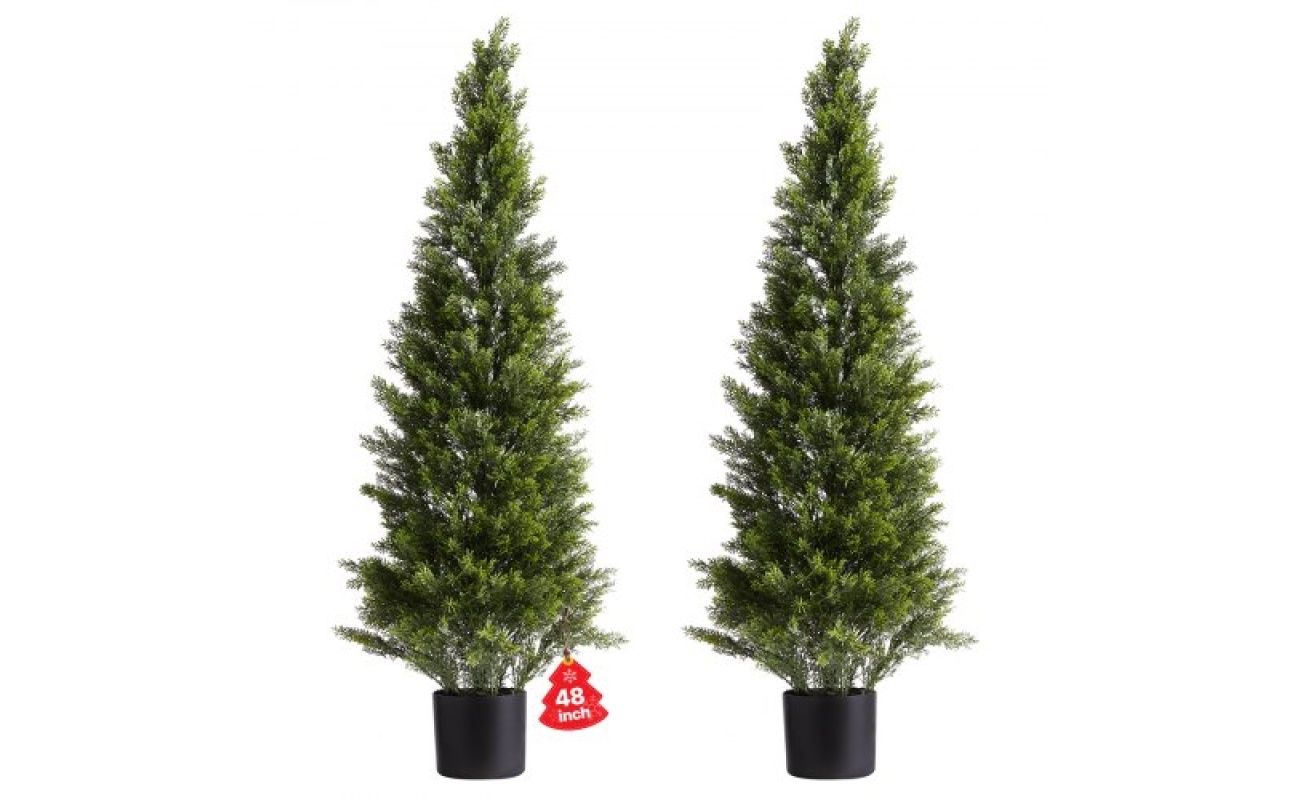 XSRGXJS48YCXNM7Y5001V0