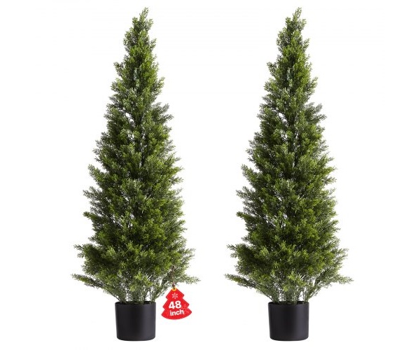 XSRGXJS48YCXNM7Y5001V0