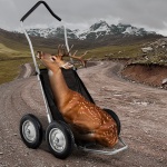 YXGKSLYXCYGZ30LZBV0 gallery 6