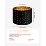 YZXDZ1310INCEFZ2R001V0 gallery 5