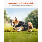 ZGJZJBKDJJBZM7SG9V0 gallery 0